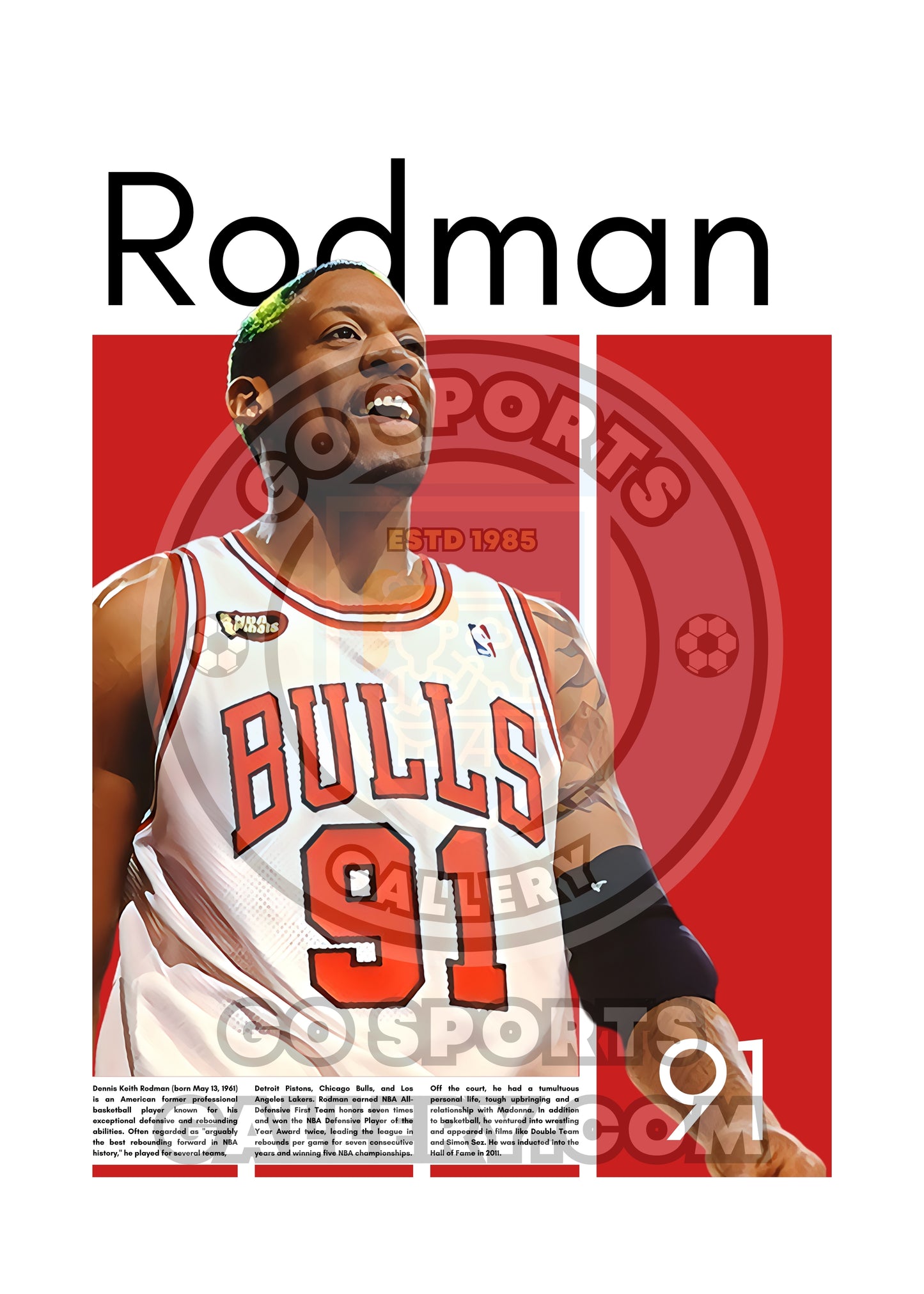 Dennis Rodman Chicago Bulls - Framed/Printed