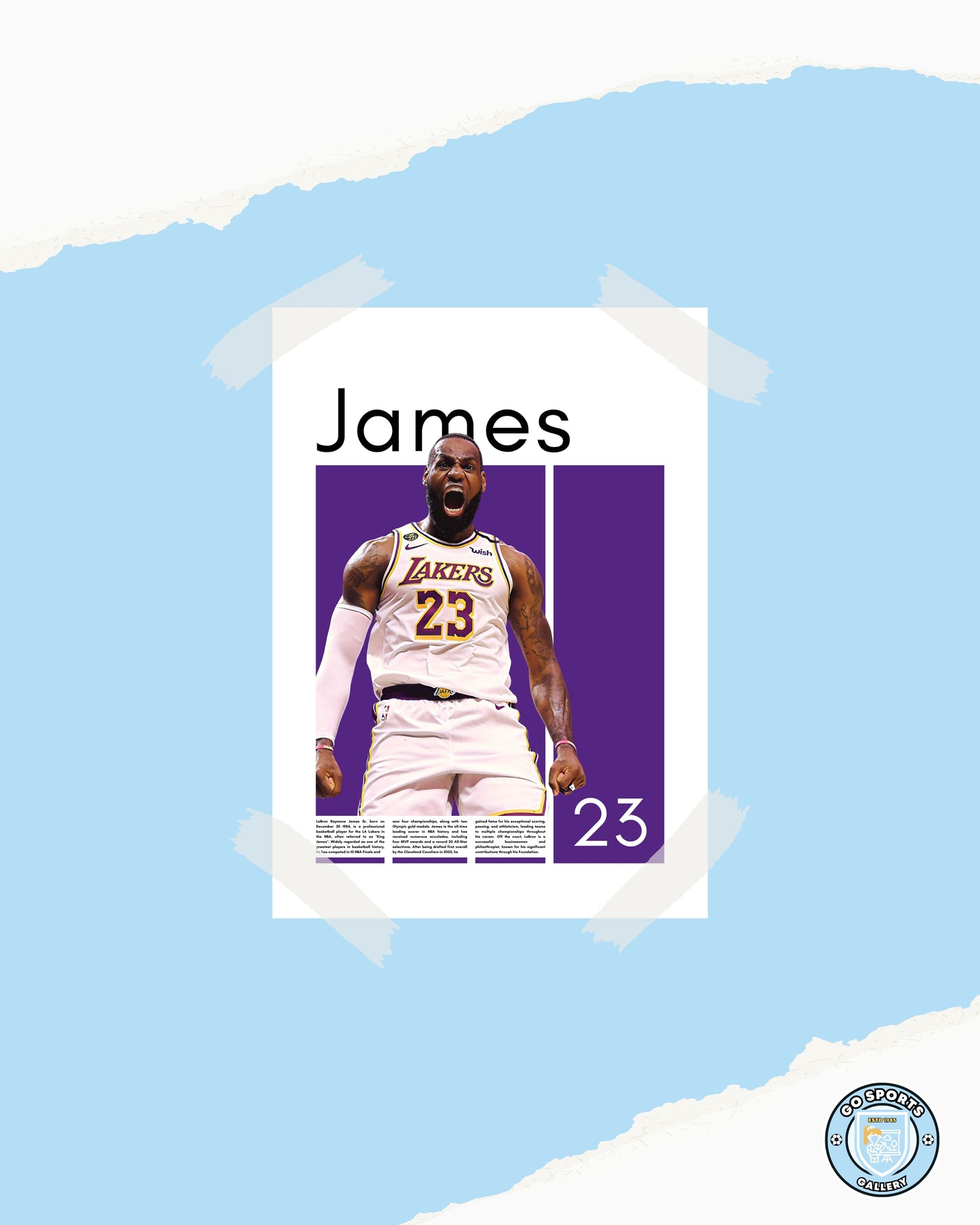 LeBron James Los Angeles Lakers - Framed/Printed