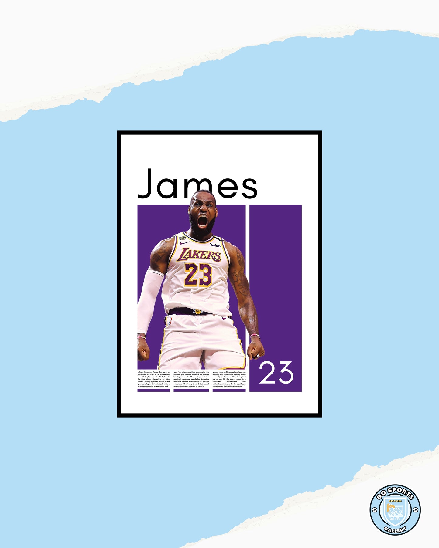 LeBron James Los Angeles Lakers - Framed/Printed