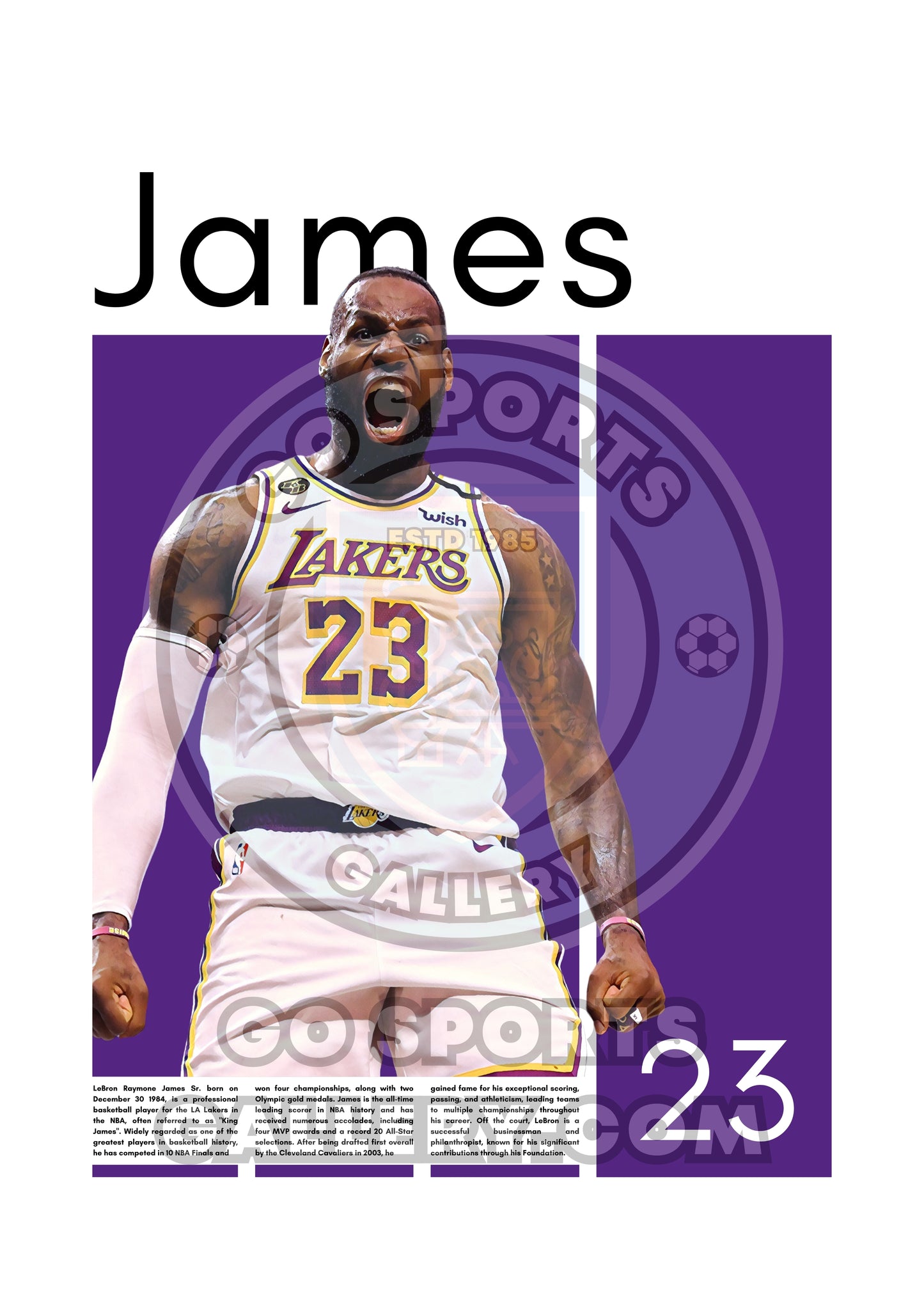 LeBron James Wall Art – Digital Download | Instant Printable Sports Art